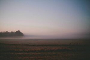 resized_13_fallback
