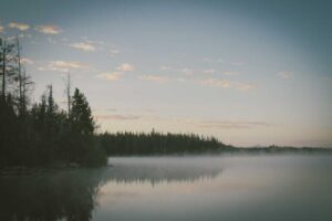 resized_19_fallback